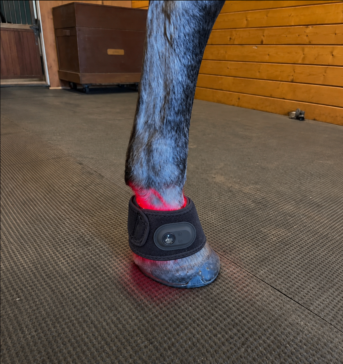 Hoof Sleeves