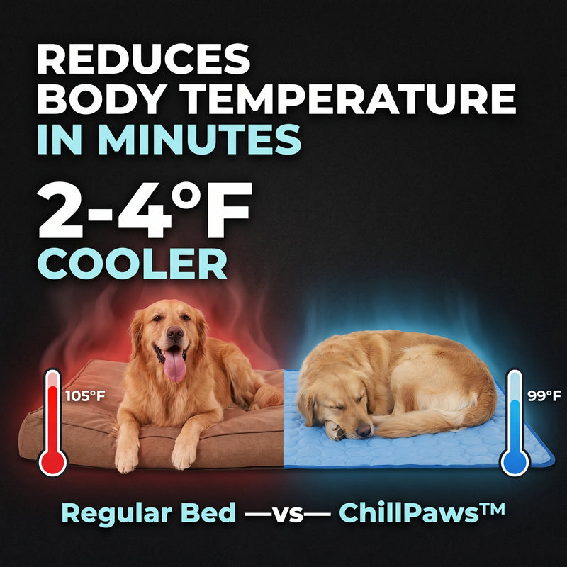 PawPal ChillMat™ — Self-Cooling Mat for Dogs