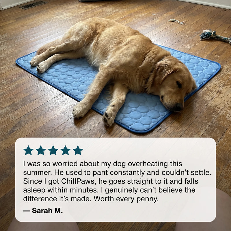 PawPal ChillMat™ — Self-Cooling Mat for Dogs