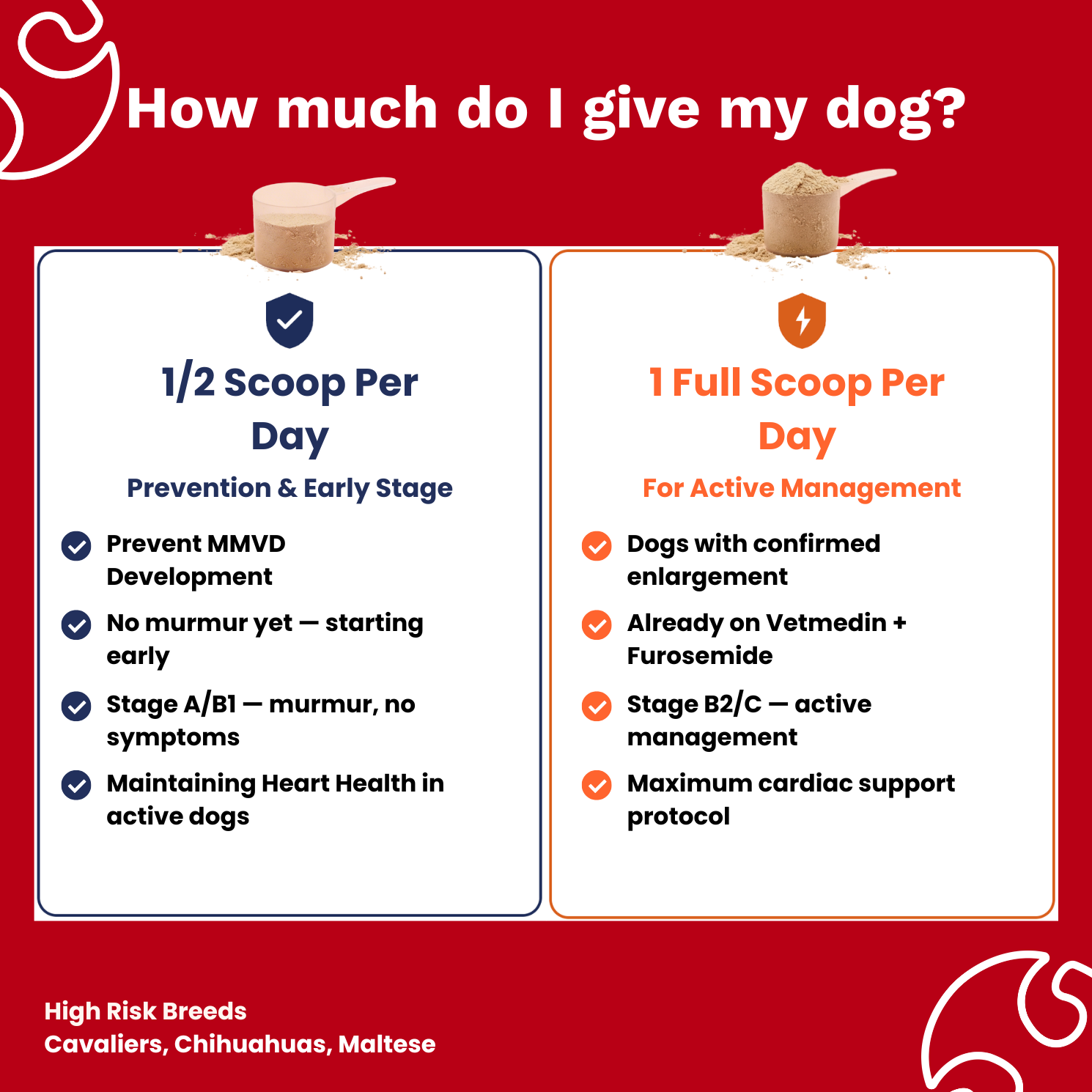 The Paw Parent - Cardiac Shield Powder